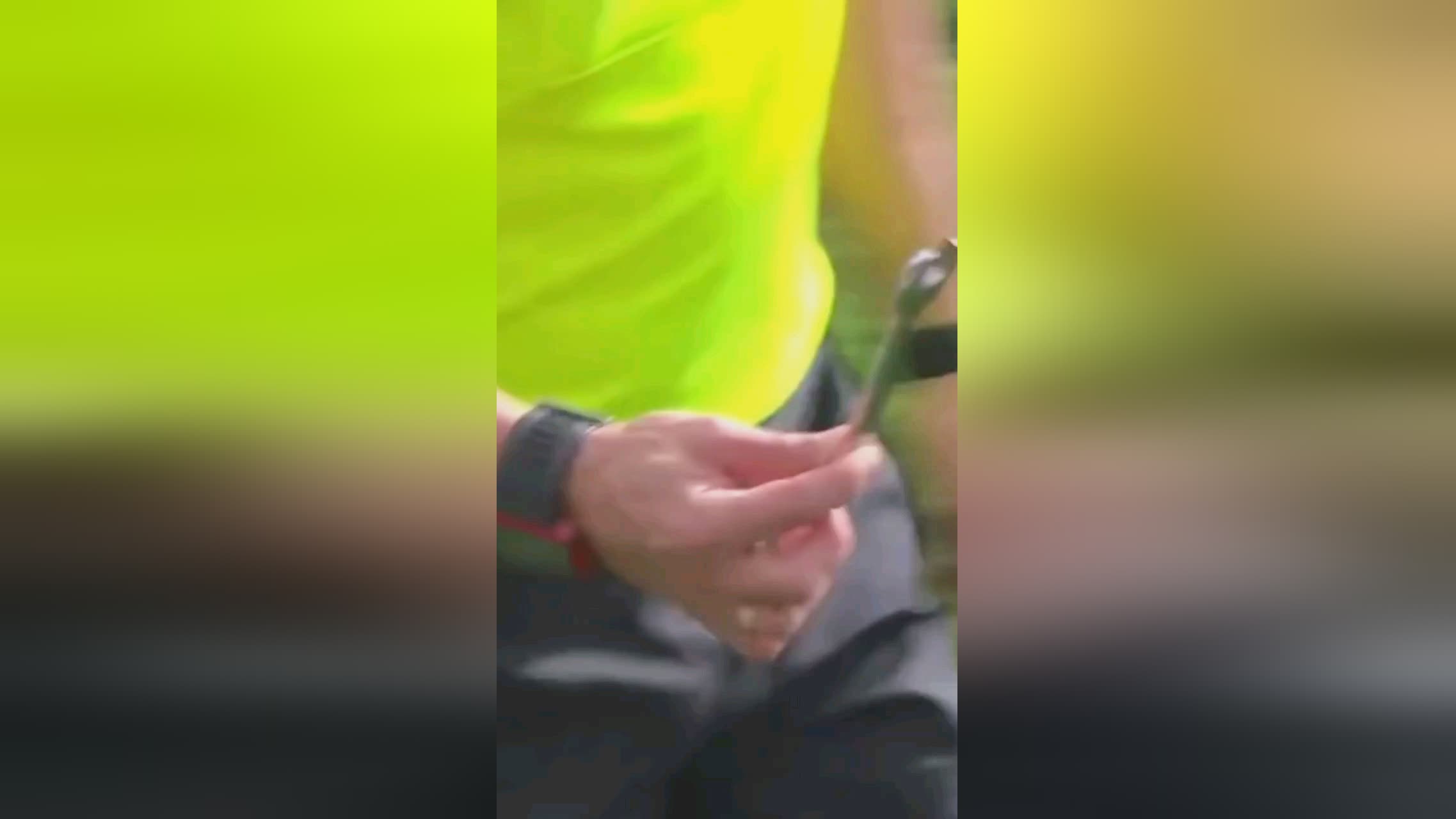 育有